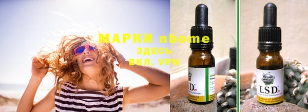 МДПВ Новозыбков