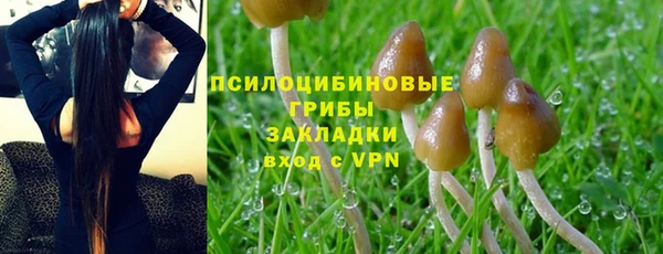 мдма Новокубанск